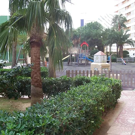 Florazar Ii Ajhory *